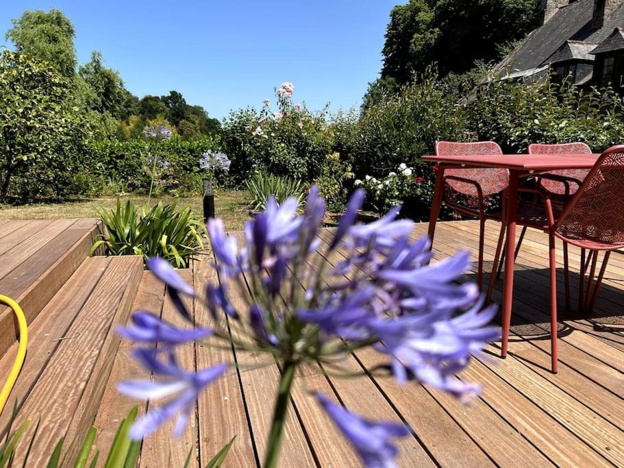 Superbe Appartement Avec Jardin Dinan Centre - Jerzual Zewnętrze zdjęcie